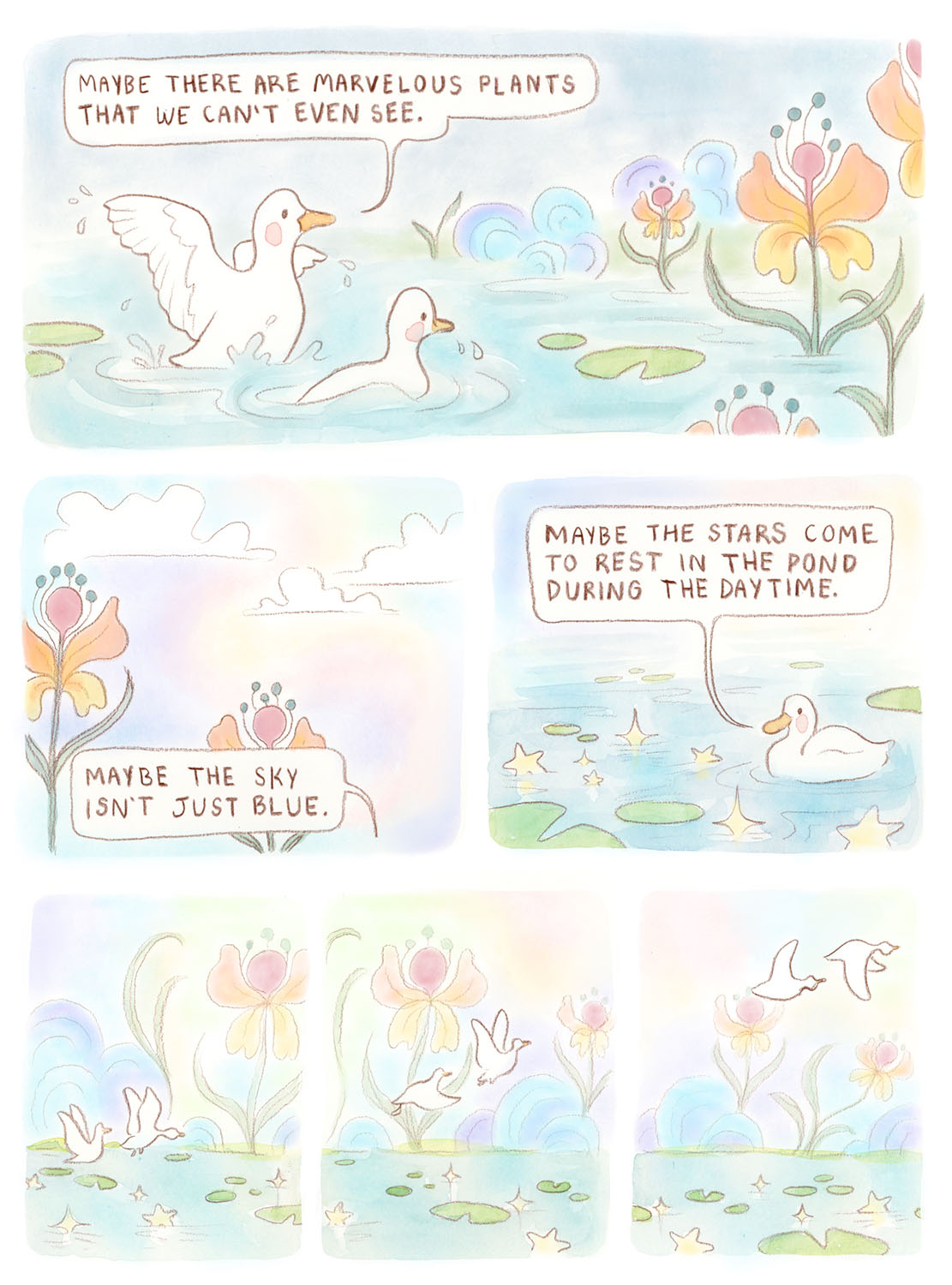 Ducks Page 3