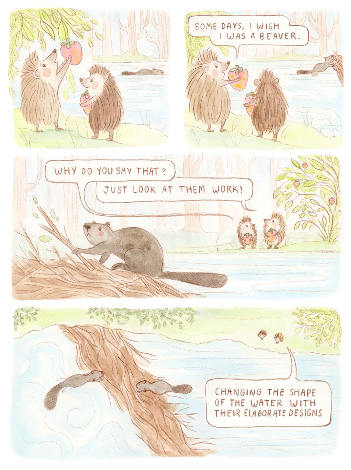 Hedgehogs Page 1