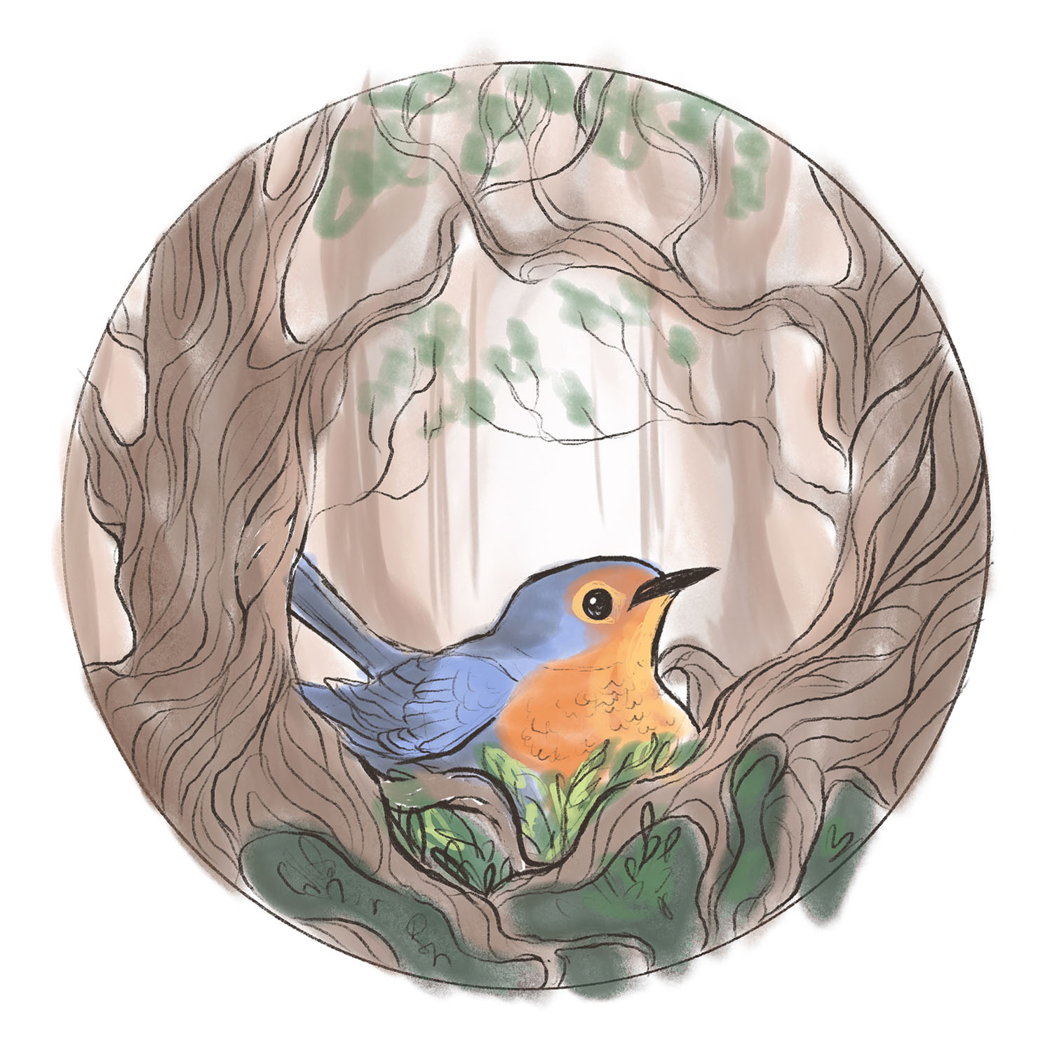 Digital sketch of a bird nesting on the forest floor