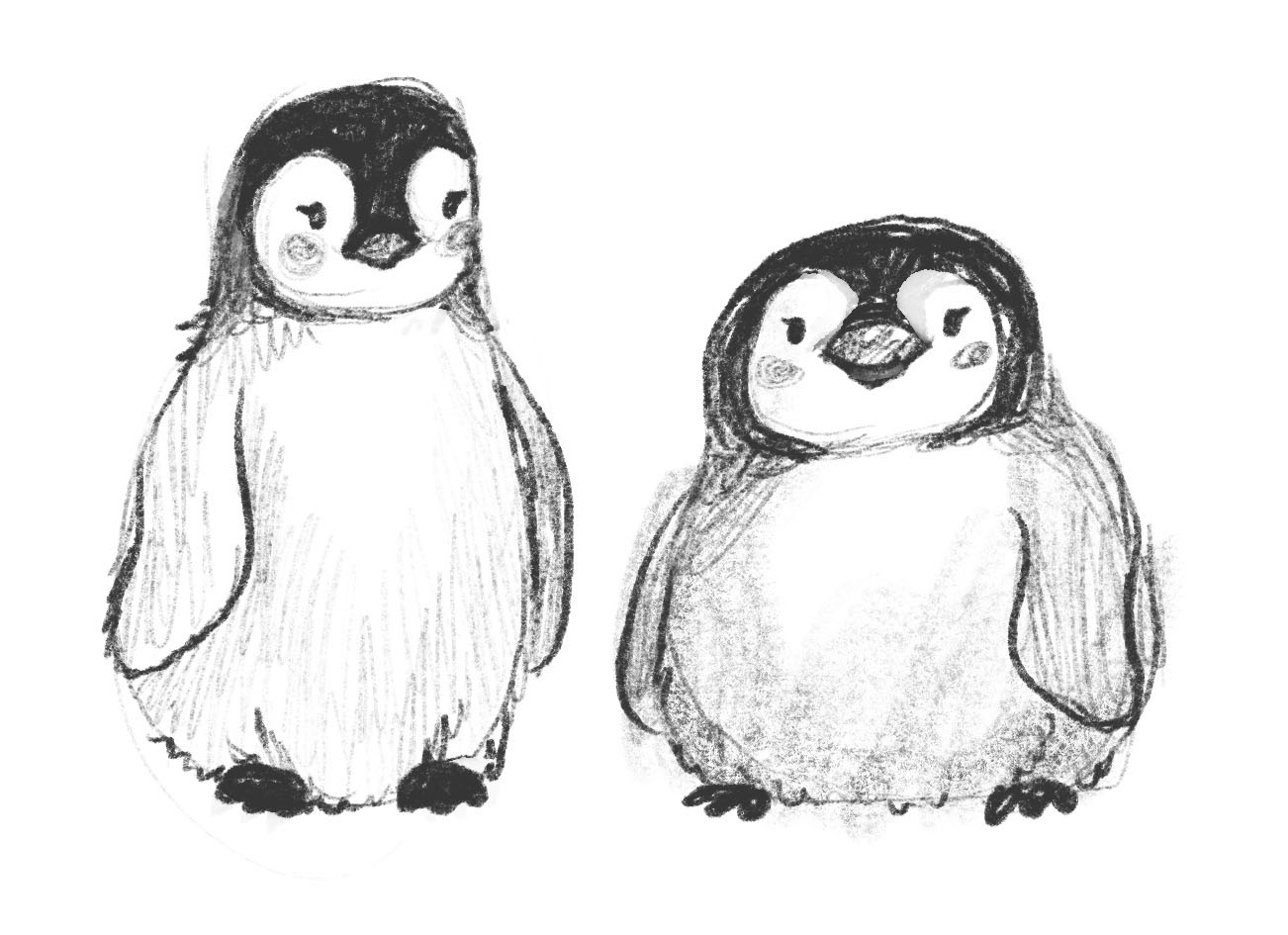 penguins sketch