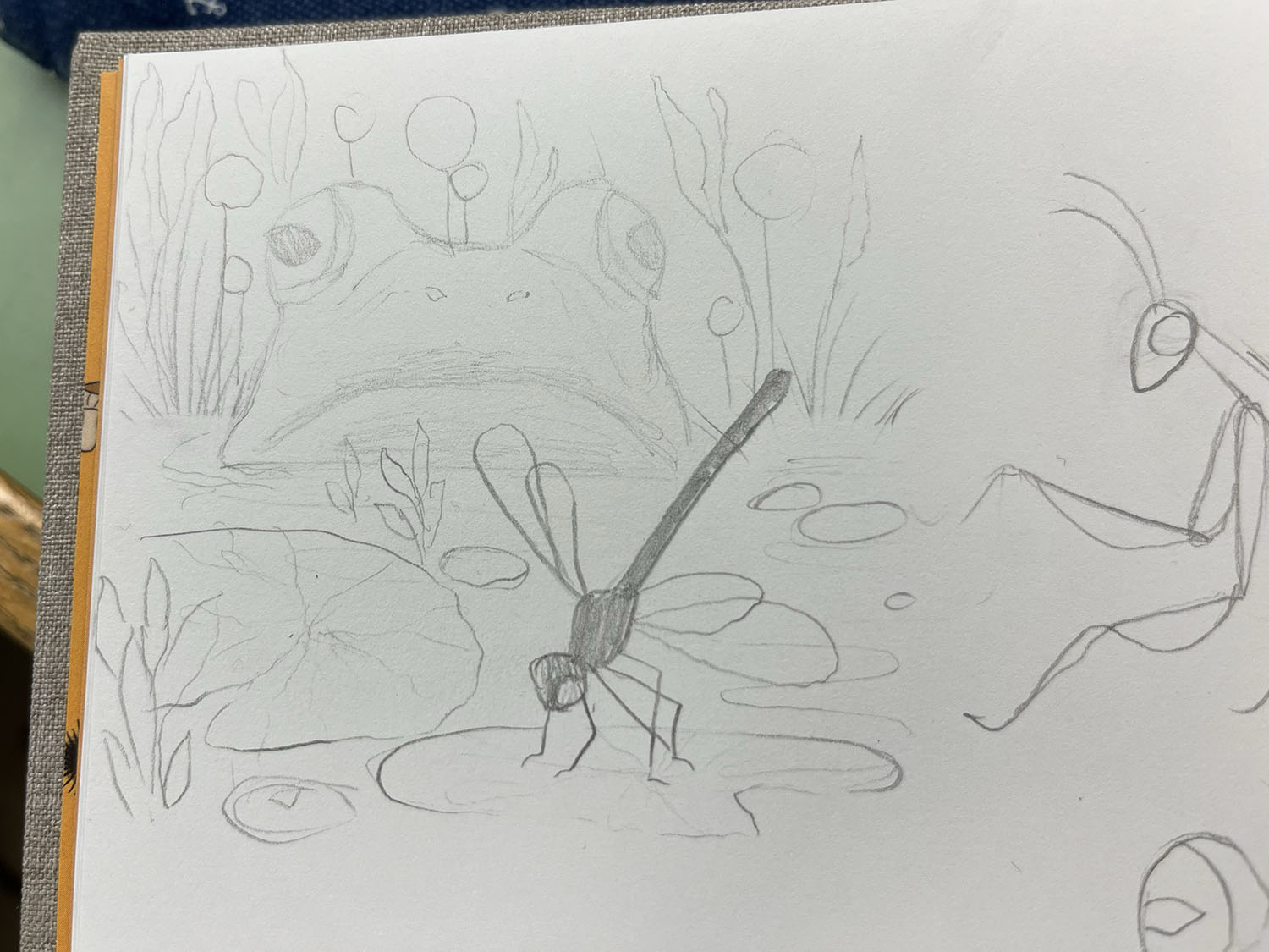 a sketch of a pond with a frog and dragonfly